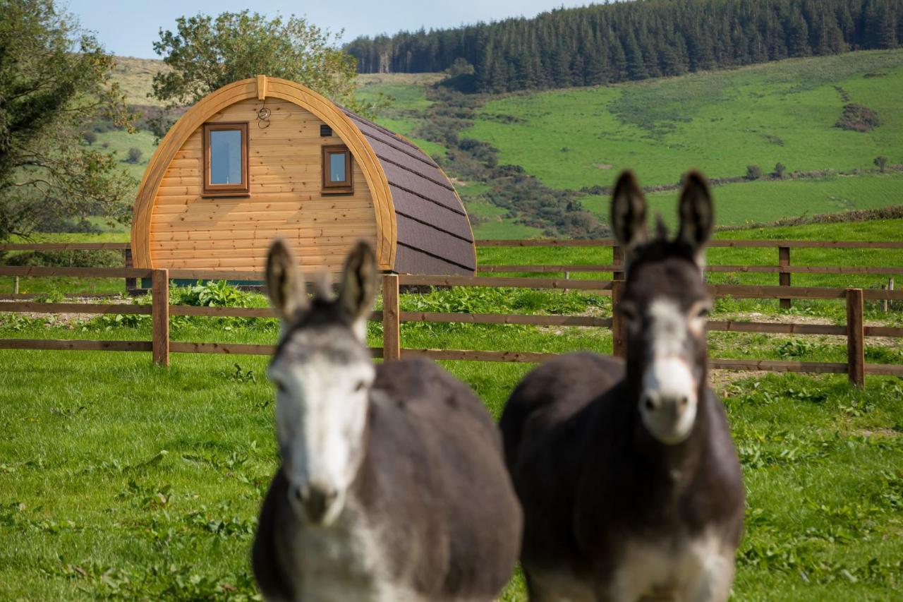 Luxury Two-Bed Glamping Pod In County Clare 2 Villa Kilbane Buitenkant foto