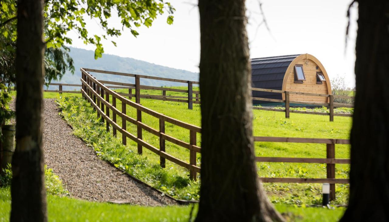 Luxury Two-Bed Glamping Pod In County Clare 2 Villa Kilbane Buitenkant foto