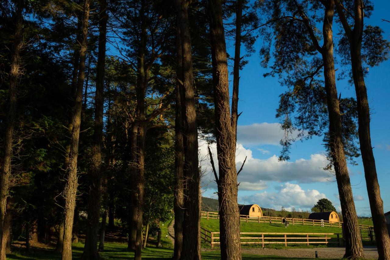 Luxury Two-Bed Glamping Pod In County Clare 2 Villa Kilbane Buitenkant foto